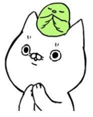 lineスタンプこんちゃん.jpg